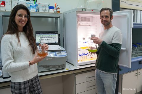 Bárbara Vázquez y Jesús Ruiz, Algades