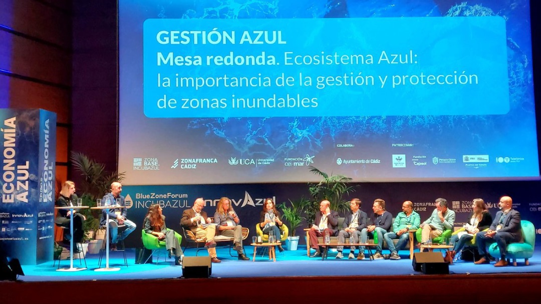 INNOVAZUL - Mesa zonas inundables INNOVAZUL - Mesa zonas inundables