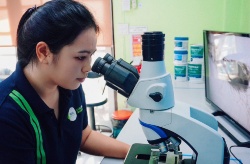 Una nueva investigación en el manejo microbiano revela el potencial de mejora en la eficiencia acuícola