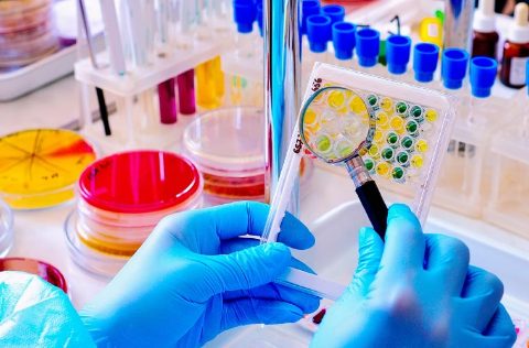 Investigación en bacterias nutricionales
