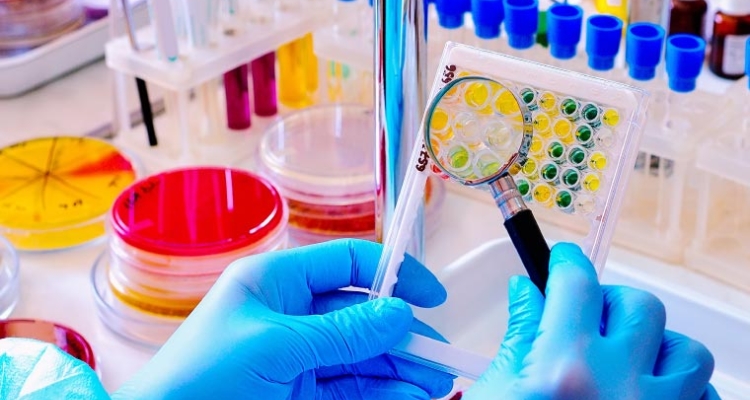 Investigación en bacterias nutricionales