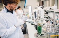 ICM-CSIC busca poner a punto de una tecnología para producir biogás a partir de microalgas