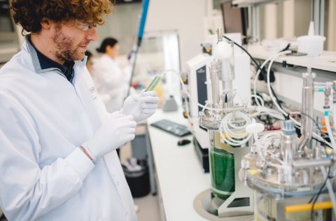Investigador fotobiorreactor microalgas