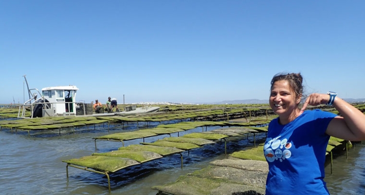 investigadora-ria-formosa-erizo-mar-eppo-760