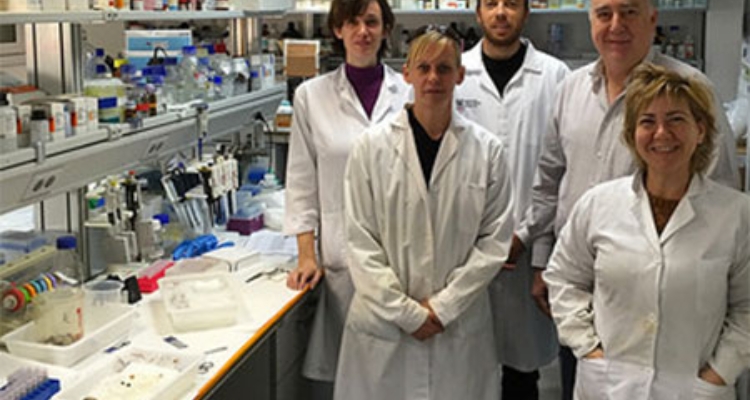 investigadores-icman-csic-almejas