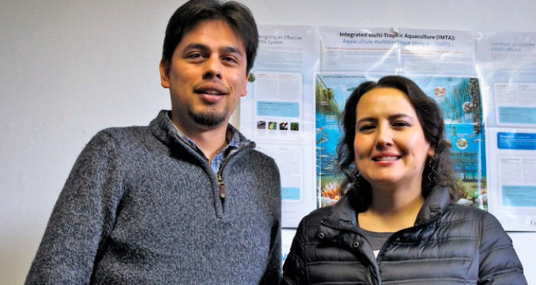 investigadores-ifop-chile-macroalgas-cambio-climatico