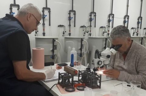 Investigadores del IFREMER