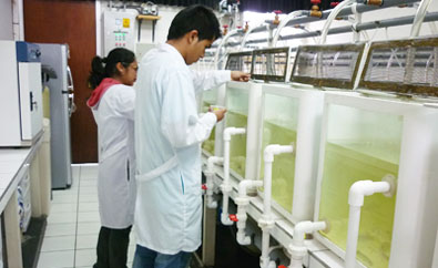 investigadores-laboratorio-nutricion-la-molina