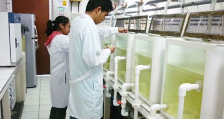 investigadores-laboratorio-nutricion-la-molina investigadores-laboratorio-nutricion-la-molina
