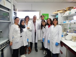 Investigadores mejoran el cultivo de microalgas con potencial para producir biodiesel