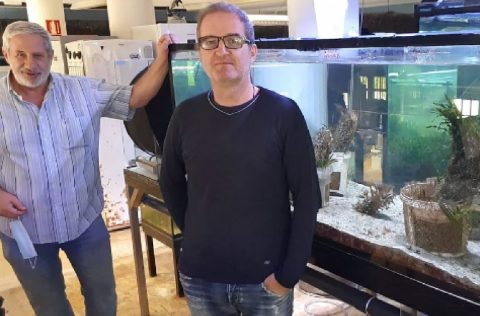 Investigadores de la U. Murcia estudian nacra (Pinna nobilis)