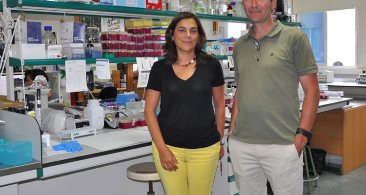 investigadores-responsables-estudio-pez-cebra-uvigo