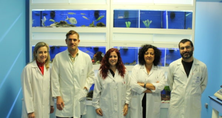 investigadores-ugr-invertebrados-marinos