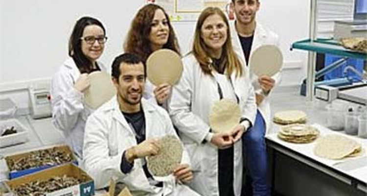 investigadores-upo-algas-celulosa