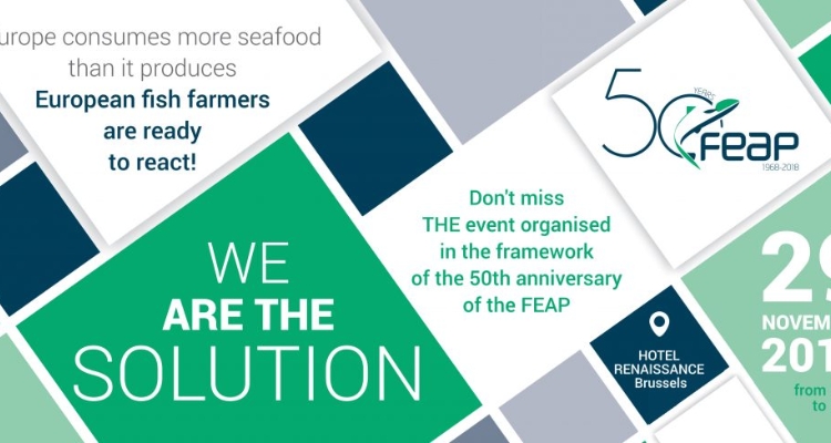 invitation-feap-50th-2018-2-1024x488