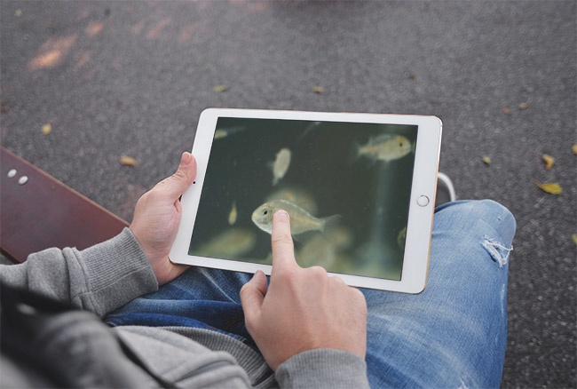 ipad-peces ipad-peces
