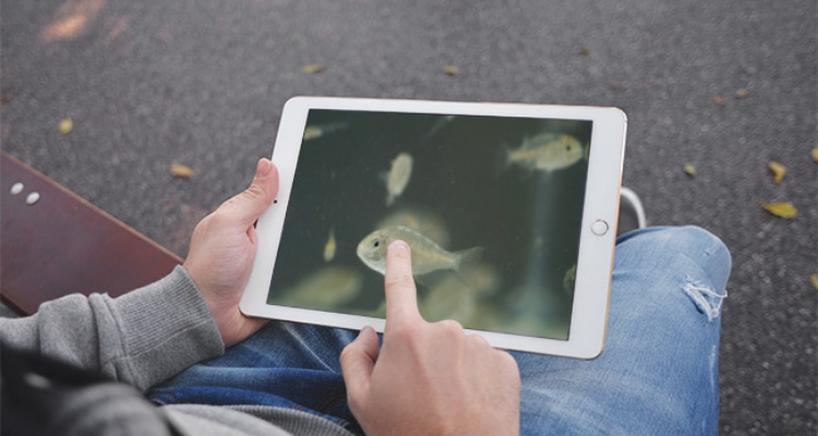 ipad-peces