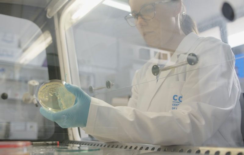CTAQUA observa diferencias de virulencia entre cepas de tres bacterias de interés acuícola
