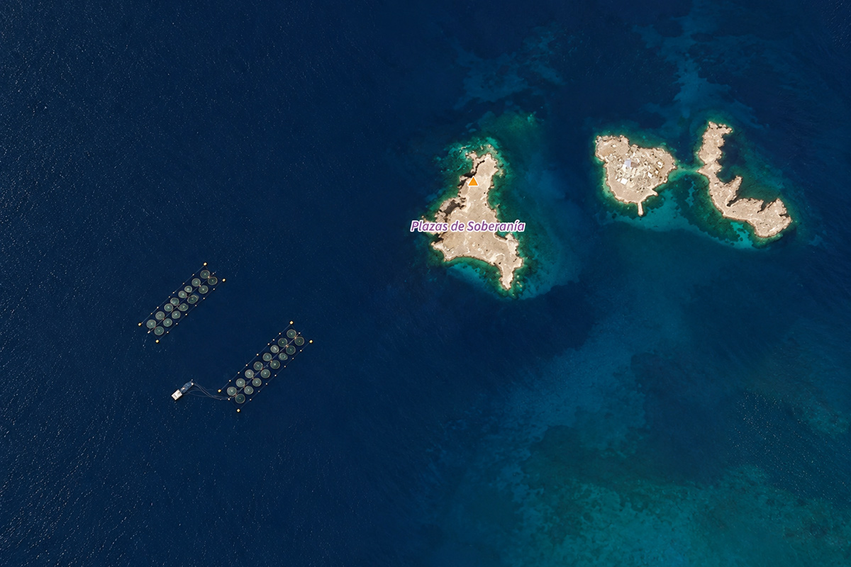 Dos trenes de jaulas en las cercanías de las Islas Chafarinas | Sentinel