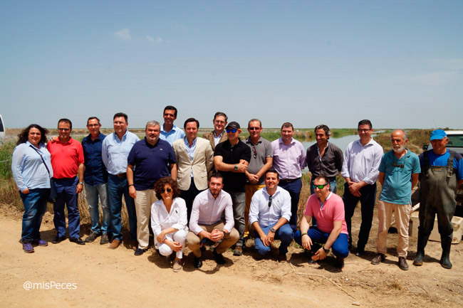 islasur-auchan-alcampo-foto-grupo-campo
