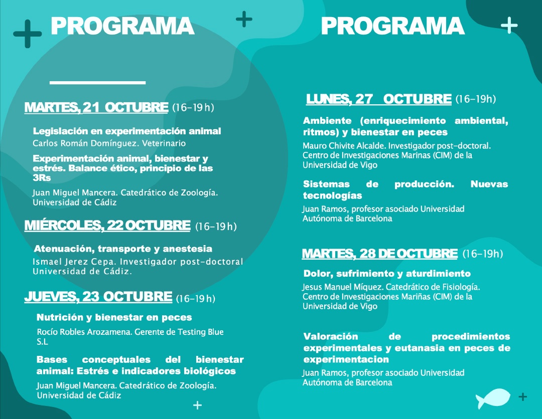 ITACYL: Programa curso online bienestar 2025