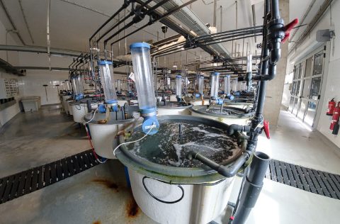 Instalaciones de IU-ECOAQUA de la ULPGC