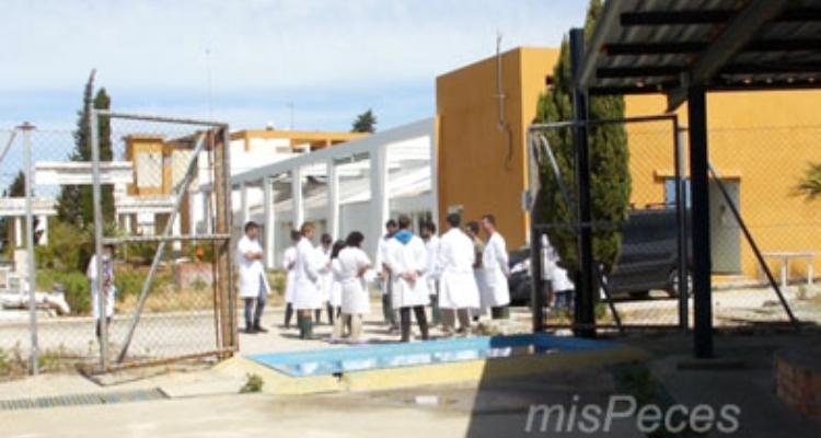 iv-curso-corvina-ifapa-alumnos