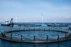 The cost and conditions for European aquaculture to reach climate neutrality for 2050