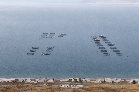 Jaulas de acuicultura en la costa Canaria