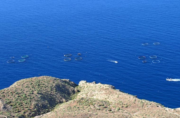Jaulas vistas desde la costa Jaulas vistas desde la costa