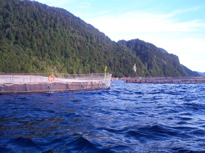 Ministerio de Economía de Chile se reúne de emergencia con equipos de SubPesca