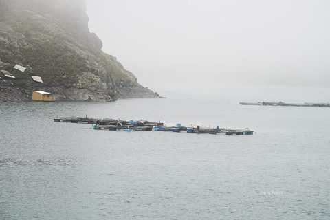 jaulas-trucha-canta-laguna-chuchun-760
