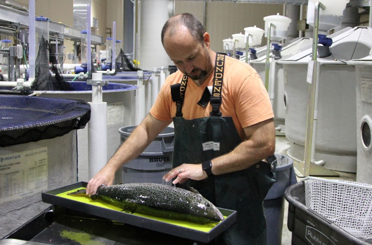 John Davidson, Conservation Fund's Freshwater Institute John Davidson, Conservation Fund's Freshwater Institute