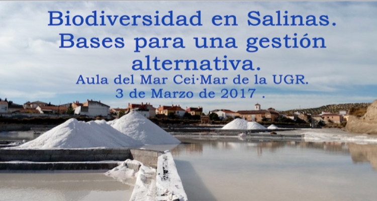 jornada-salinas-ceimar-granada