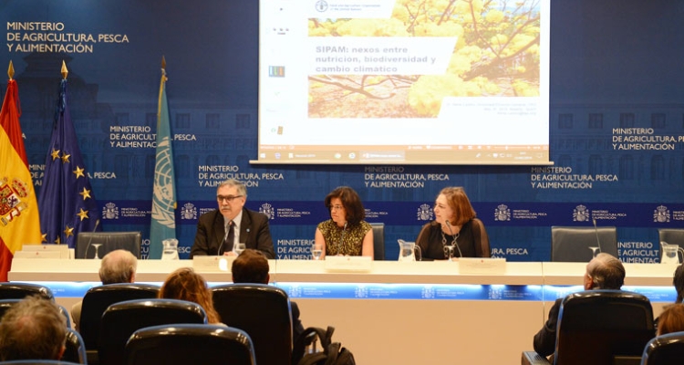 jornada-sipam-fao-ministerio-mayo2019-L760 jornada-sipam-fao-ministerio-mayo2019-L760