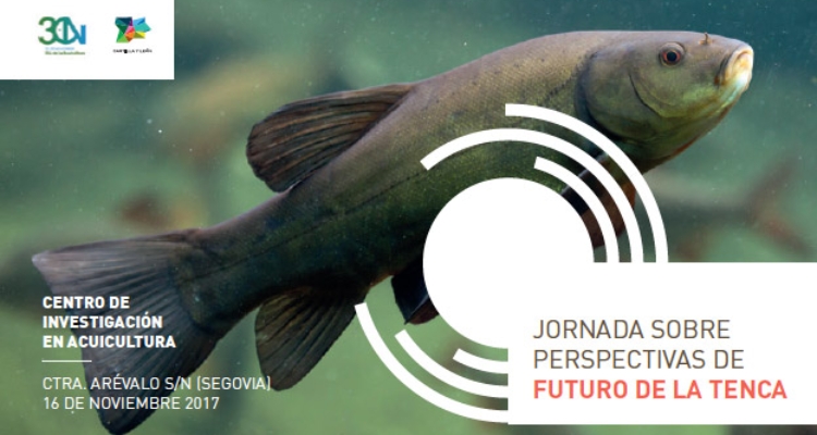 jornada-tenca-talcyl-16nov2017