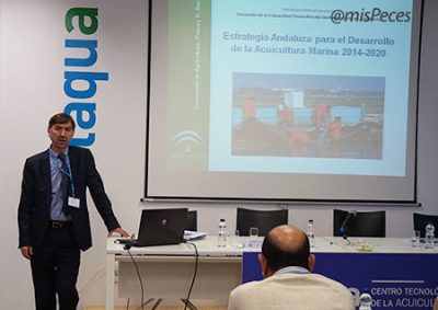 Todo sigue indicando que en 2015 no habrá posibilidades de activar el FEMP