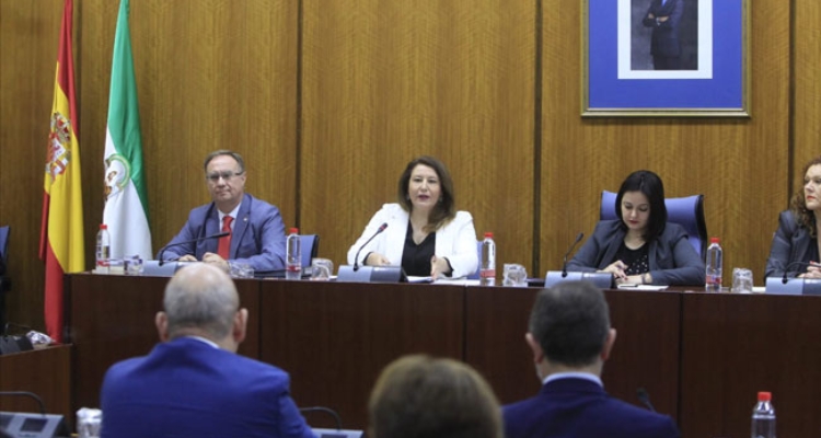 junta-andalucia-carmen-crespo-comparecencia-parlamento