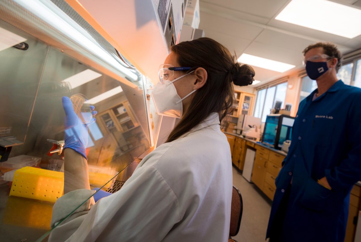 Kate Bauman y Bradley Moore | UC San Diego