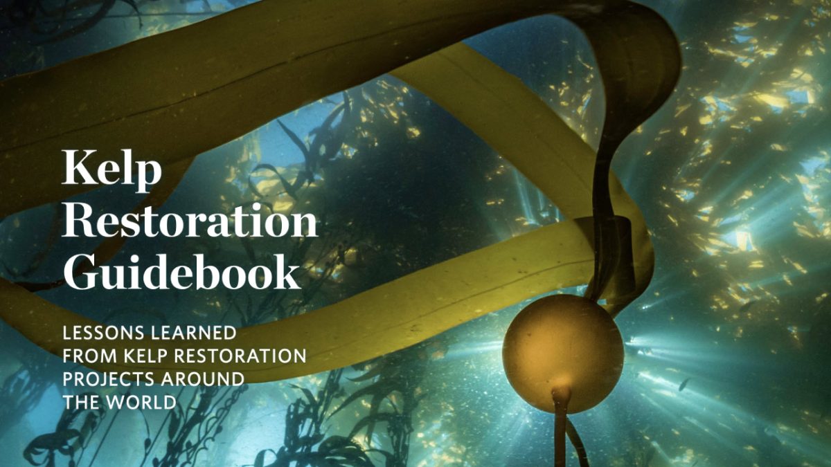 kelp-restoration-guidebook