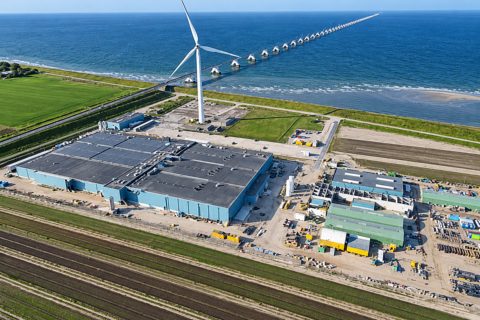 Nordic Kingfish increases yellowtail production but loses NOK 471 million after asset write-down