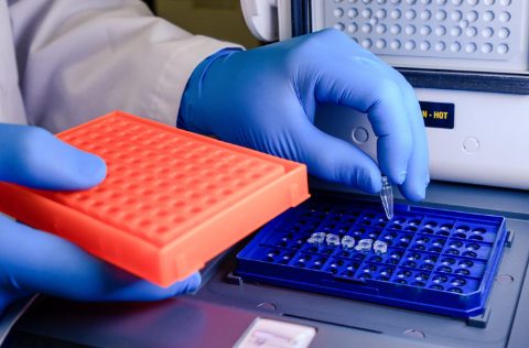 Laboratorio