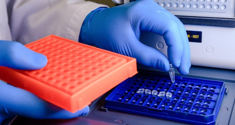 Laboratorio