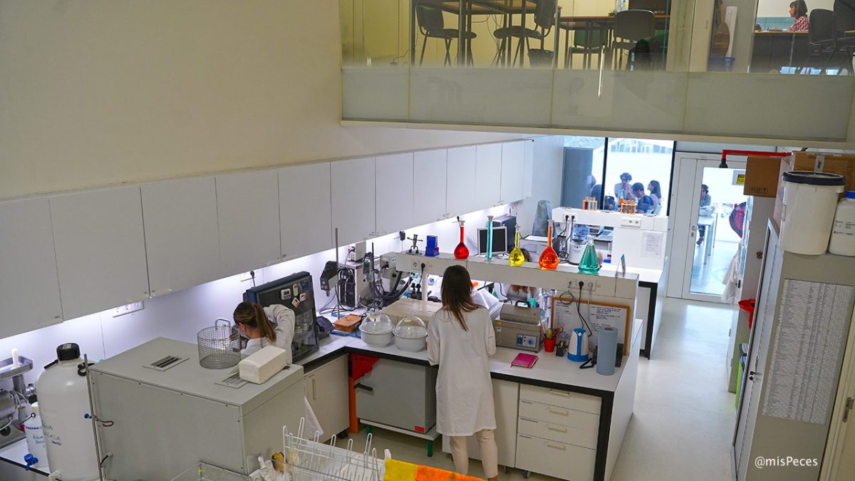 Laboratorio LANUCE de CIIMAR-UP