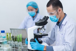 Investigadores australianos desarrollan un sistema de escala piloto para la producción de luteína de Chlorella vulgaris