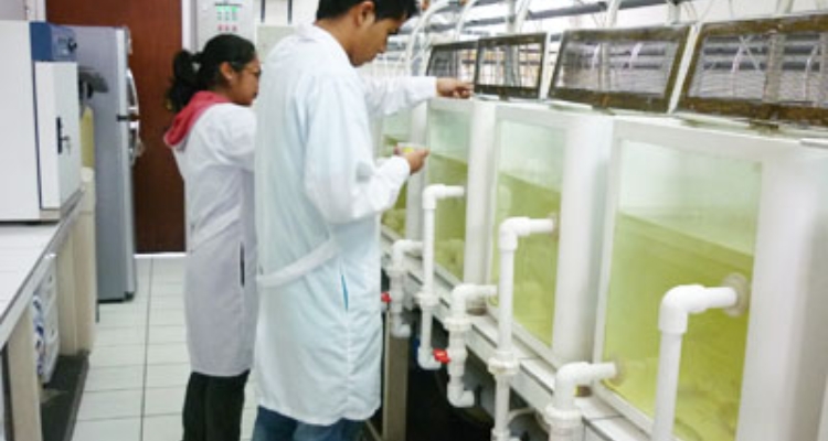 laboratorio-nutricion-la-molina