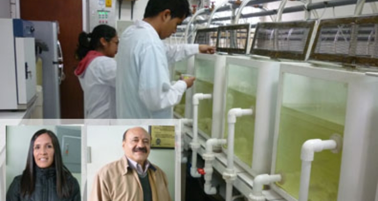 laboratorio-nutricion-victor-vergara-sylvana-ferrer-peru