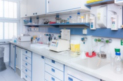 Estos son los investigadores españoles más citados por sus trabajos en acuicultura y biotecnología marina
