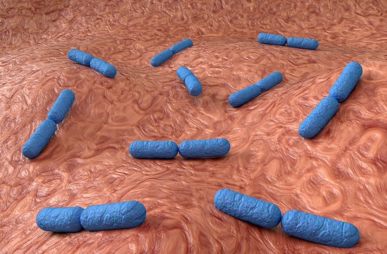Recreación microbios