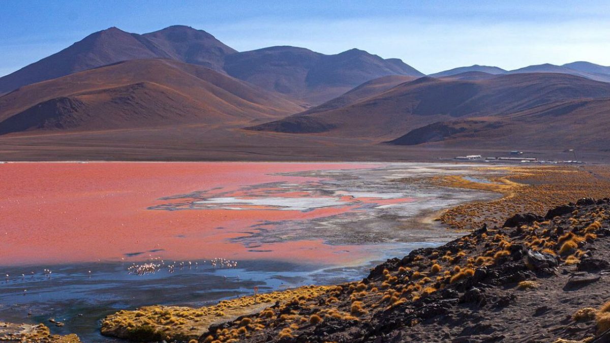Arqueas en lago de Argelia